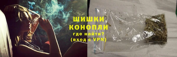 тгк Богородицк