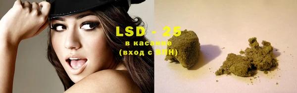 амф Богданович