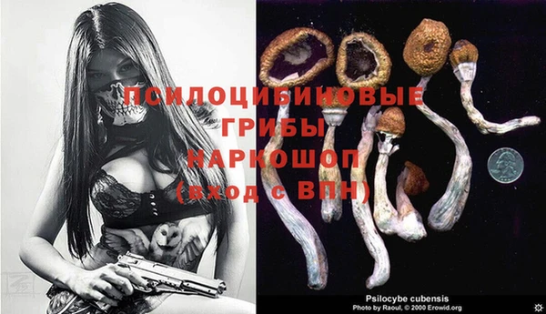 тгк Богородицк