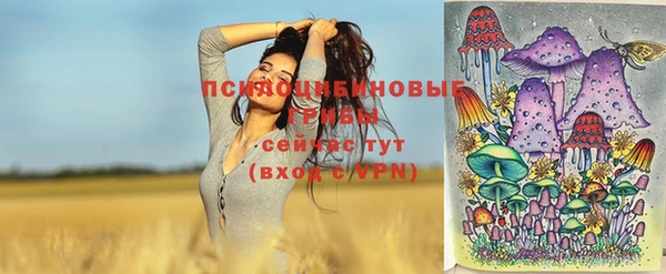 первитин Богородск