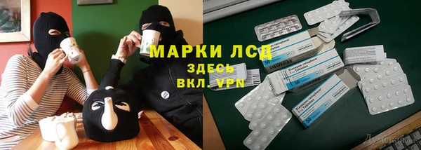 амф Богданович