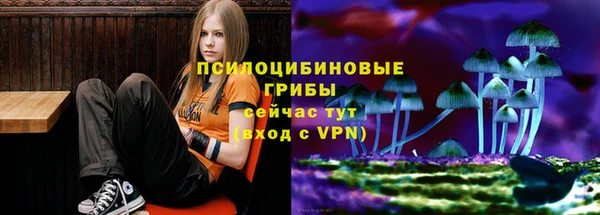 первитин Богородск