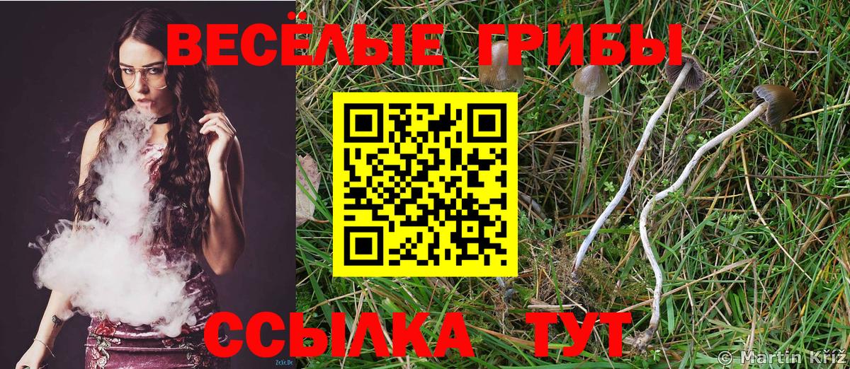 Псилоцибиновые грибы Cubensis  Галлюциногенные грибы GOLDEN TEACHER  Вход с VPN  Малоярославец 